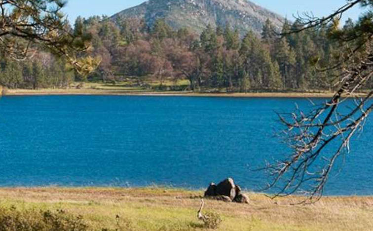 1774599961511939.png image.png